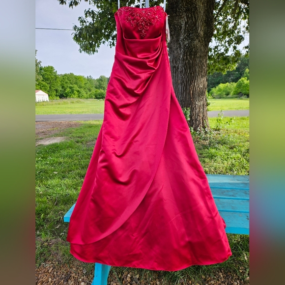 David's Bridal Apple Red Gown - Picture 14 of 14